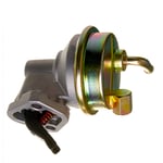 EGR and Related Components