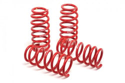 Picture of H&R Race Spring Kit - High-Performance Lowering Springs