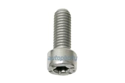 Picture of Genuine Porsche N-105-464-03 Crankshaft Position Sensor Mounting Bolt