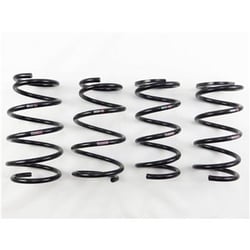 Picture of RS*R T550TW Ti2000 Lowering Springs