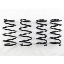 Picture of RS*R T551TW Ti2000 Lowering Springs