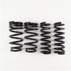 Picture of RS*R T999D Down Sus Lowering Spring Set