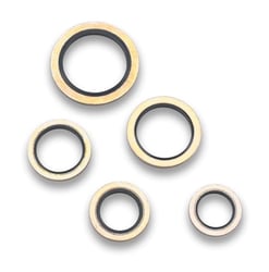 Picture of Earl's Performance Dowty Seal Set