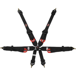 Picture of G-Force Racing 7622BK 6-Point FIA Camlock Racing Harness with HANS Anchors