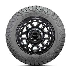 Picture of Delinte 841623133603 DX-20 Bandit X/T Rugged Terrain 225/55R17 101V Light Truck Tire