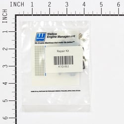 Picture of Walbro K10-WJ Carburetor Repair Kit for WJ Series