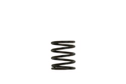 Picture of Turbosmart TS-0505-2001 WG38/40/45 3PSI Inner Spring Brown/Black