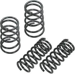 Picture of RS*R T073D Down Sus Lowering Springs