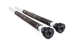 Picture of Ohlins FKA 110 NIX 30 Adventure Front Fork Cartridge Kit