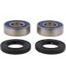 Picture of Fabtech FTS1125 Lower Bearing Kit Replacement Component
