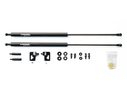 Picture of Greddy 18540101 Carbon Fiber Hood Damper Kit