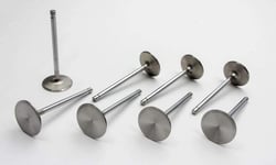 Picture of Manley 11858-8 Severe Duty Stainless Steel Intake Valve 2.020 11/32 Stem