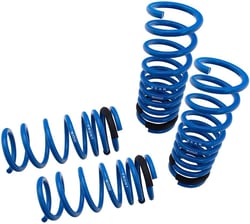 Picture of Megan Racing MR-LS-LI06 Performance Lowering Springs