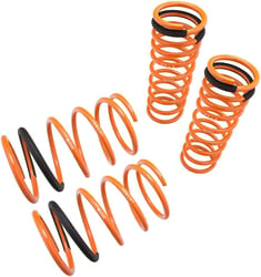Picture of Megan Racing MR-LS-M3GT Performance Lowering Springs