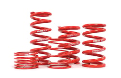 Picture of H&R ID Race Springs - Performance Coilover Springs