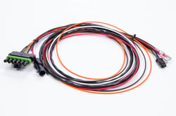 Picture of MSD ASY17296 Ignition Wiring Harness for 6ALN Ignition Control