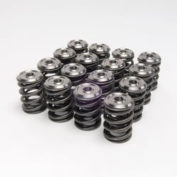Picture of Skunk2 308-05-1300 Alpha Series Titanium Valve Retainer Kit Honda B/K Series